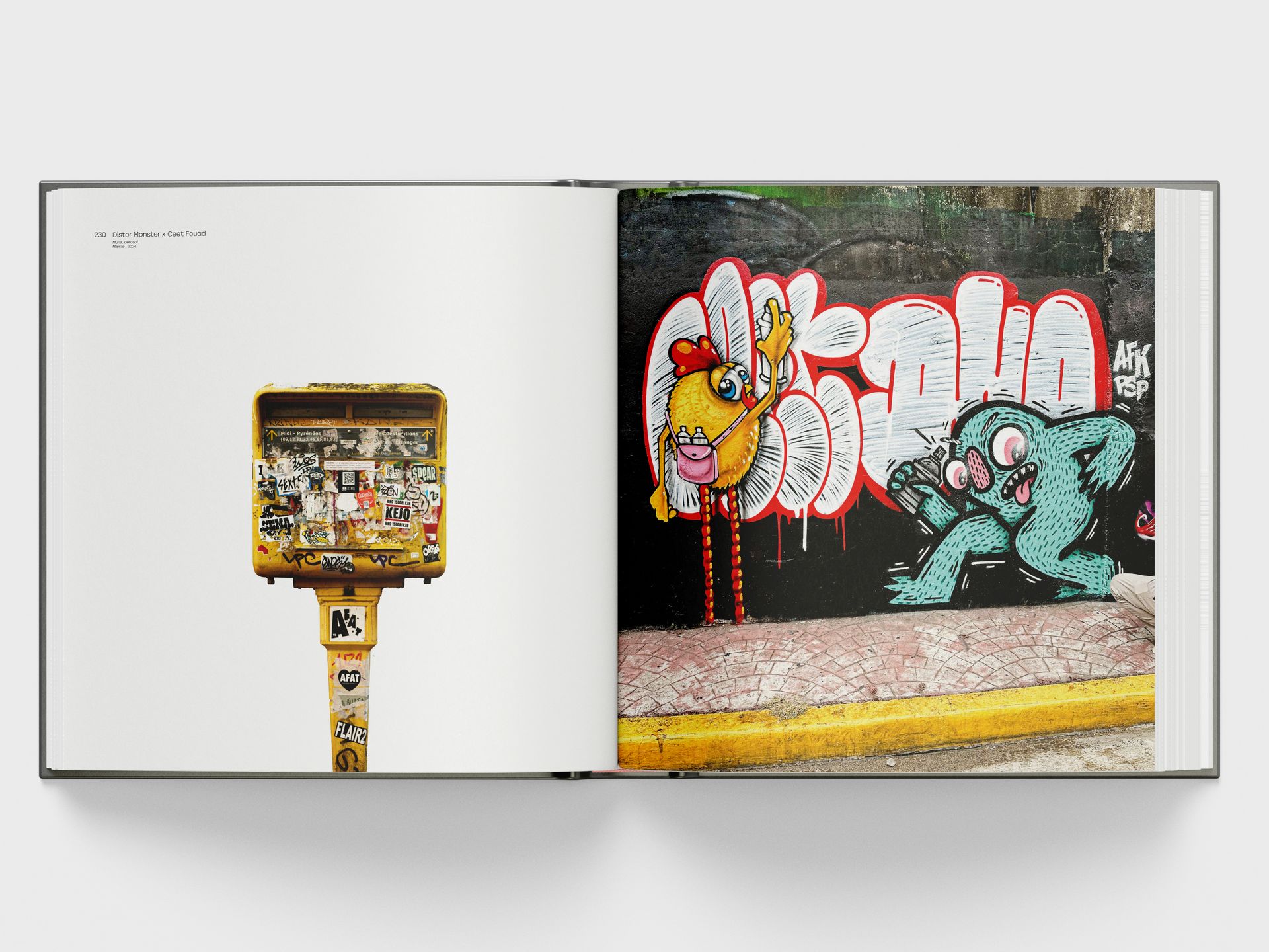 extrait du livre FAVELITOS n°6 CEET fouad