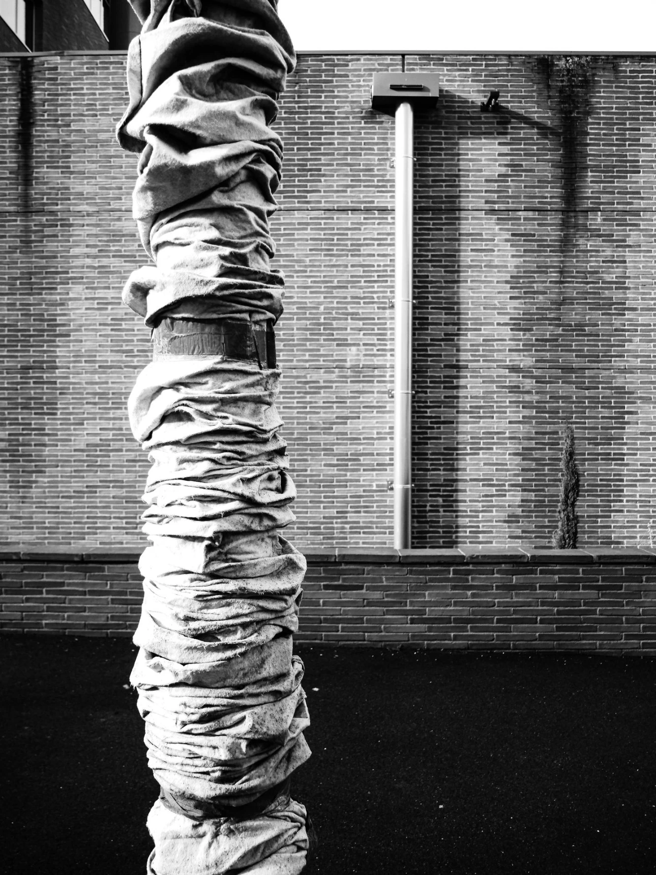 Street photo n°9